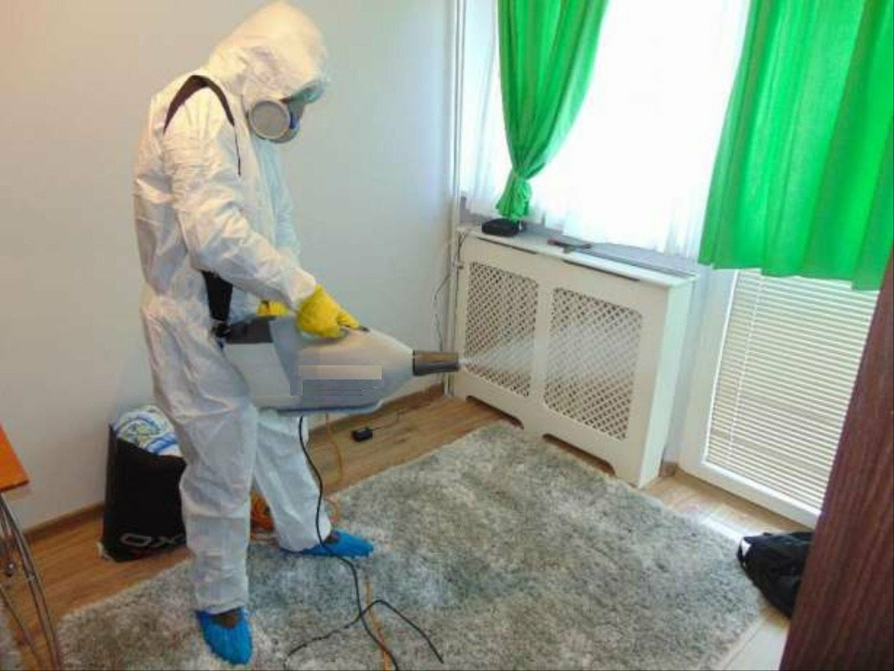 ФОТО Санобработка от насекомых в Вырице