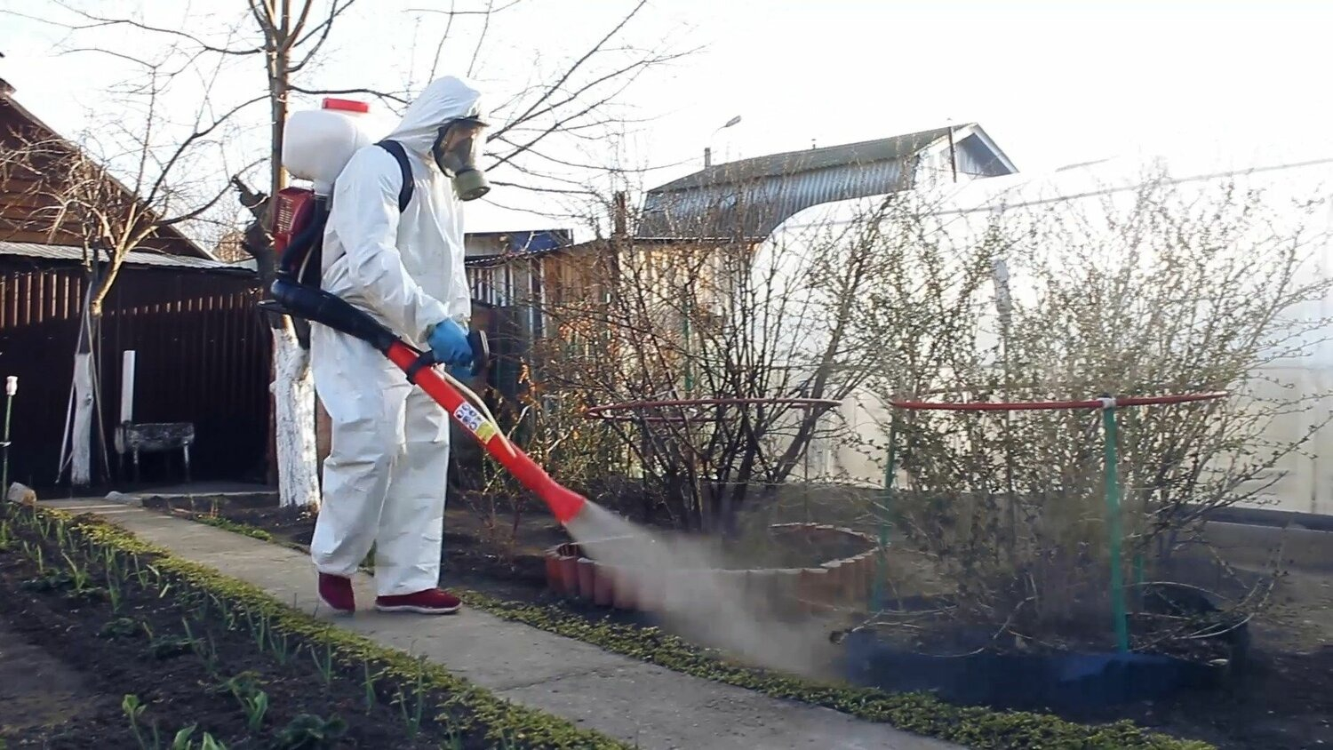 ФОТО Уничтожение муравьёв в Вырице