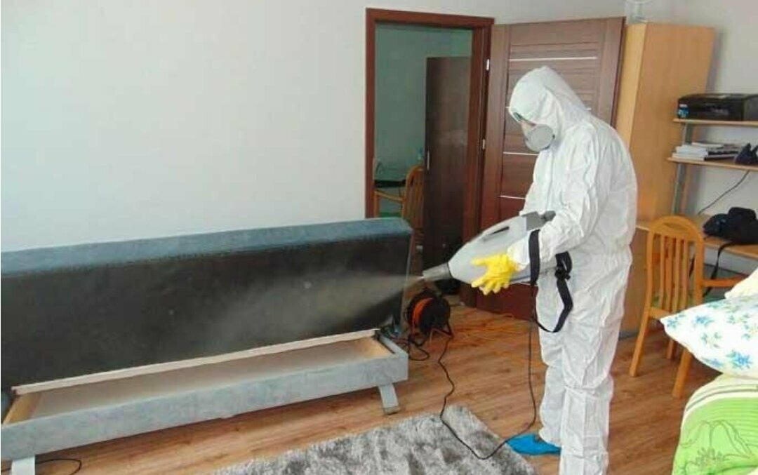 ФОТО Уничтожение блох в Вырице