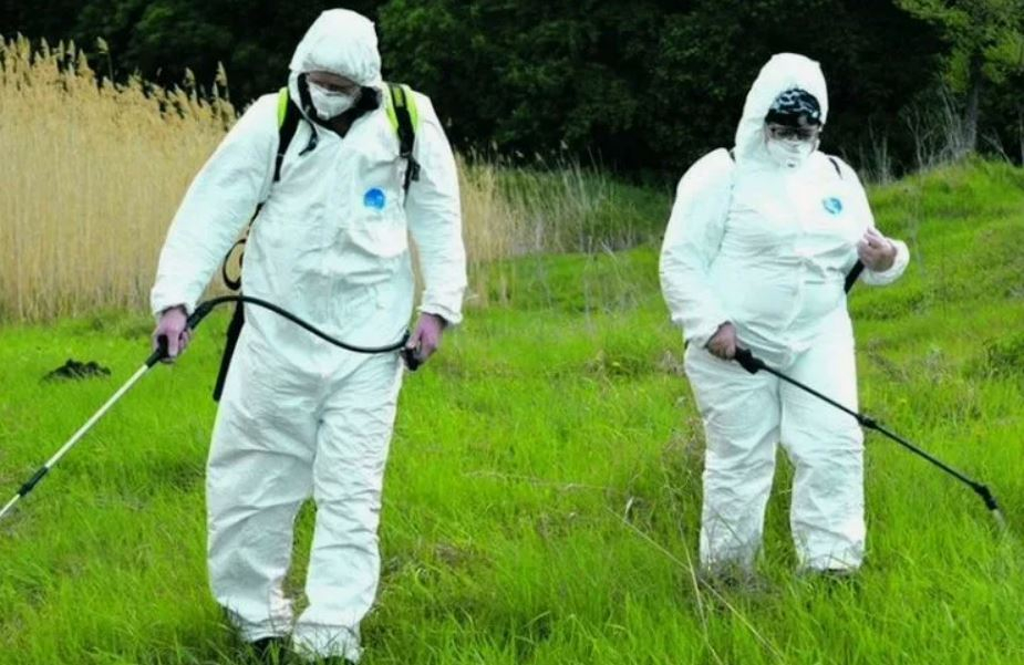 ФОТО Обработка от клещей в Вырице