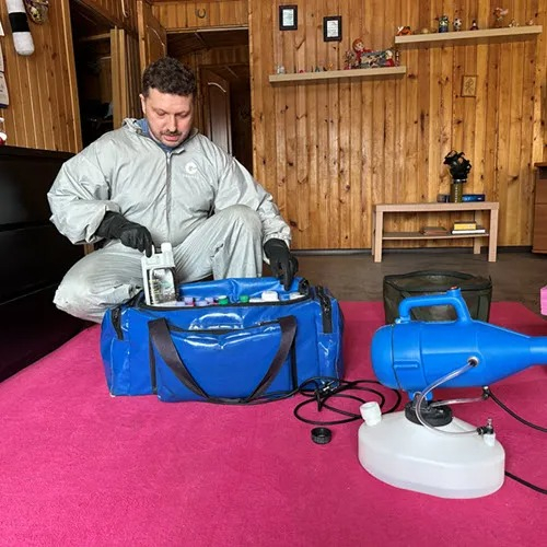 ФОТО Дератизация в Вырице