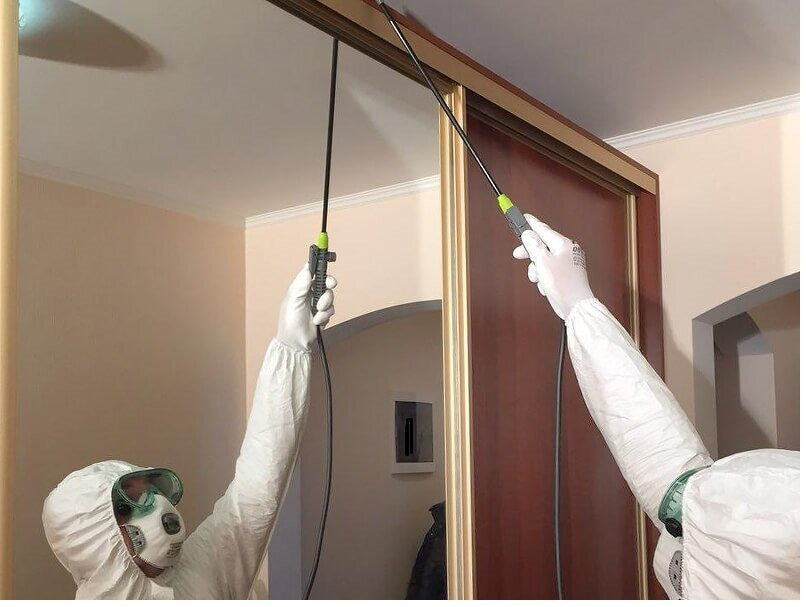 ФОТО Обработка от моли в Вырице