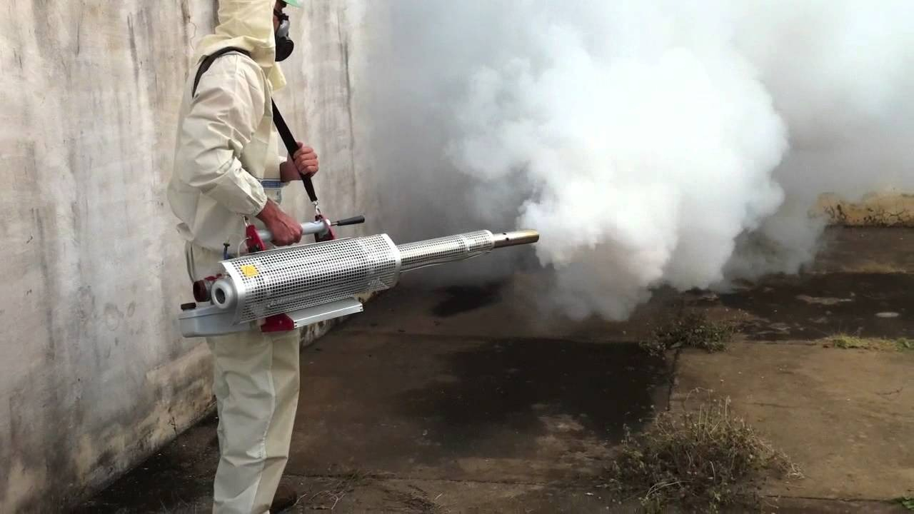 ФОТО Уничтожение мух в Вырице