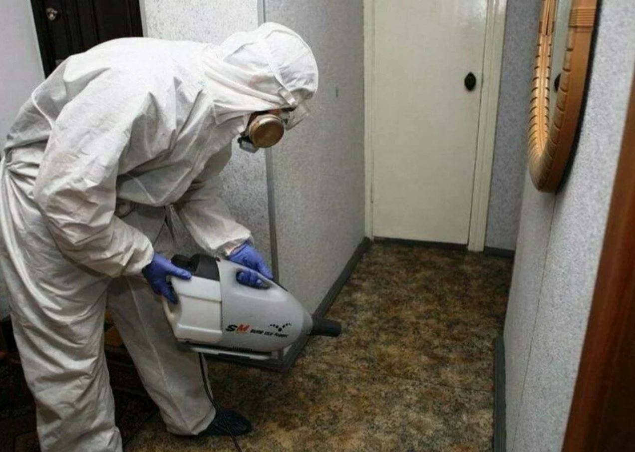 ФОТО Какие методы обработки для дезинсекции существуют в Вырице? | подробно