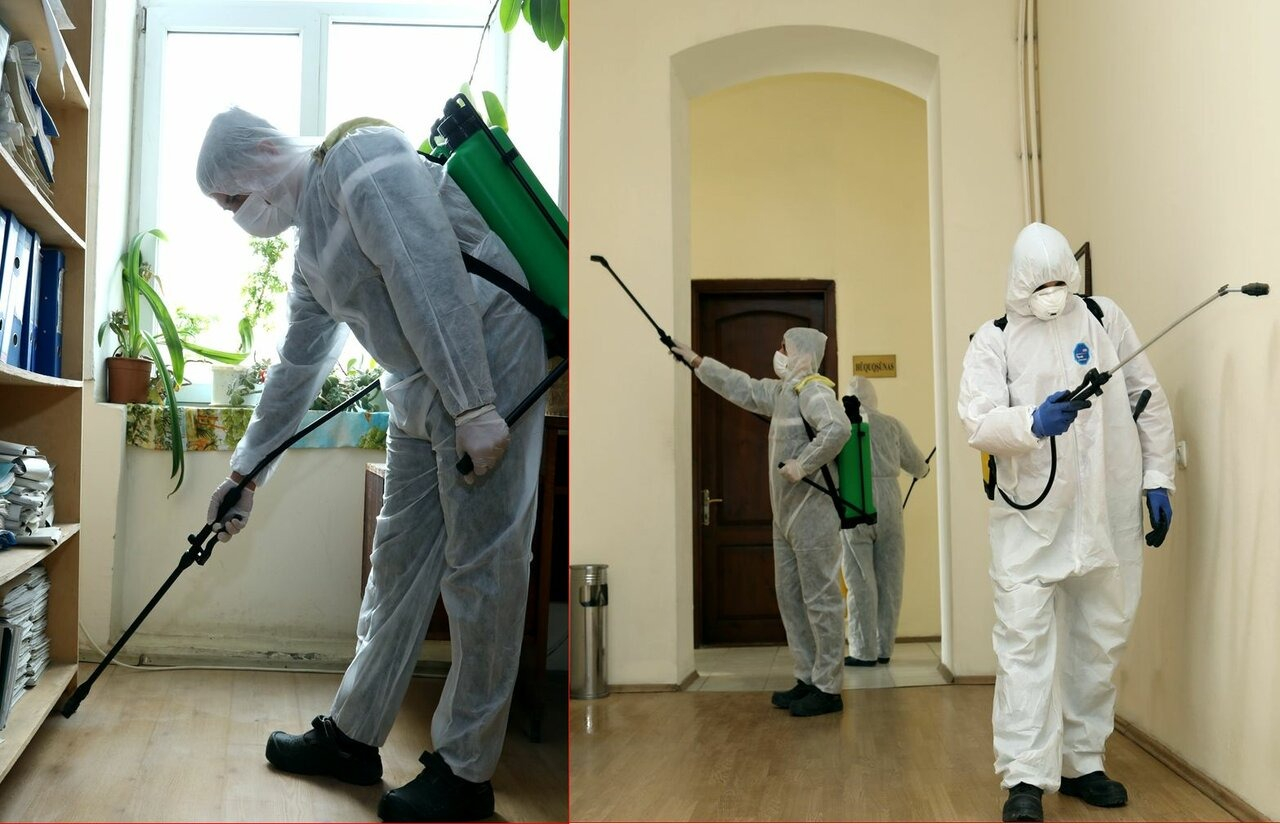 ФОТО Требуется ли лицензия для дезинсекции и дезинфекции в Вырице? | подробно