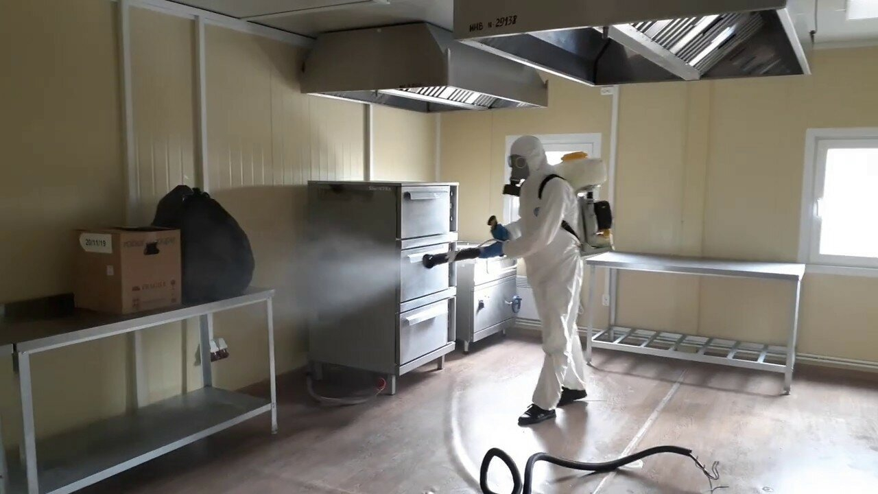 ФОТО Можно ли провести дезинсекцию самостоятельно и какие существуют риски в Вырице? | подробно