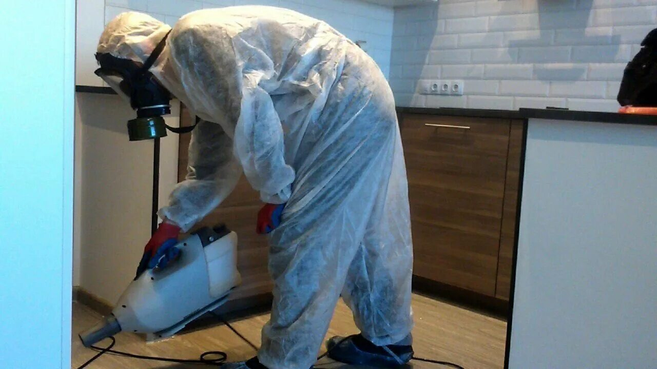 ФОТО Как подготовить домашних животных к обработке от насекомых в Вырице? | подробно