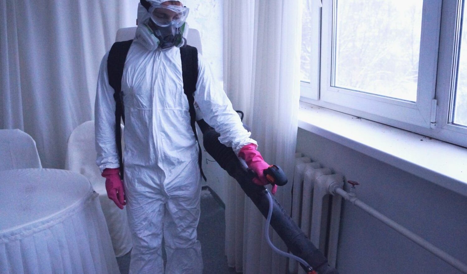 ФОТО Нужно ли выносить растения при дезинсекции в Вырице? | подробно