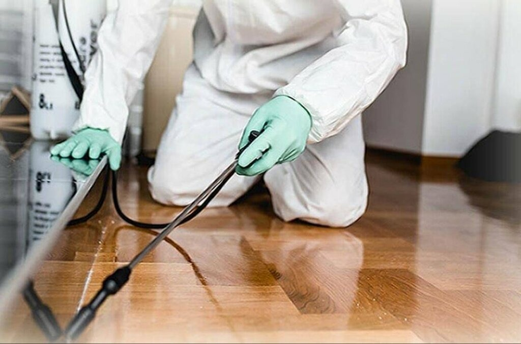 ФОТО Как подготовить вентиляцию при предстоящей дезинсекции в Вырице?