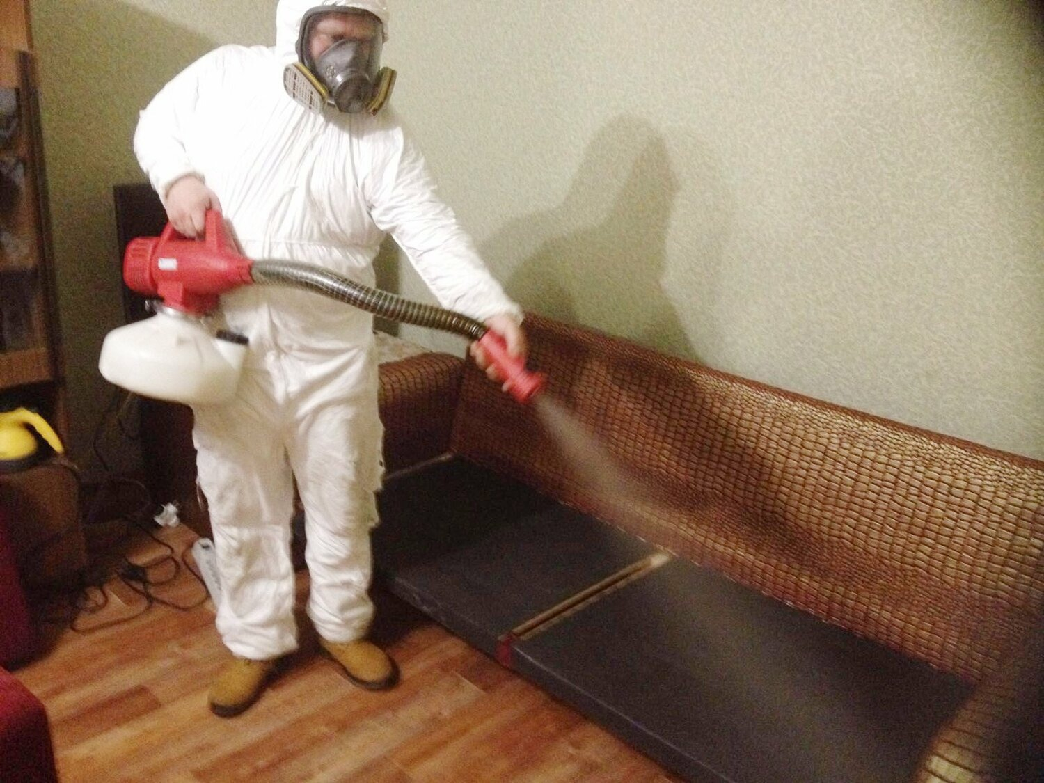 ФОТО Когда можно вернуться в помещение после дезинсекции в Вырице? | подробно