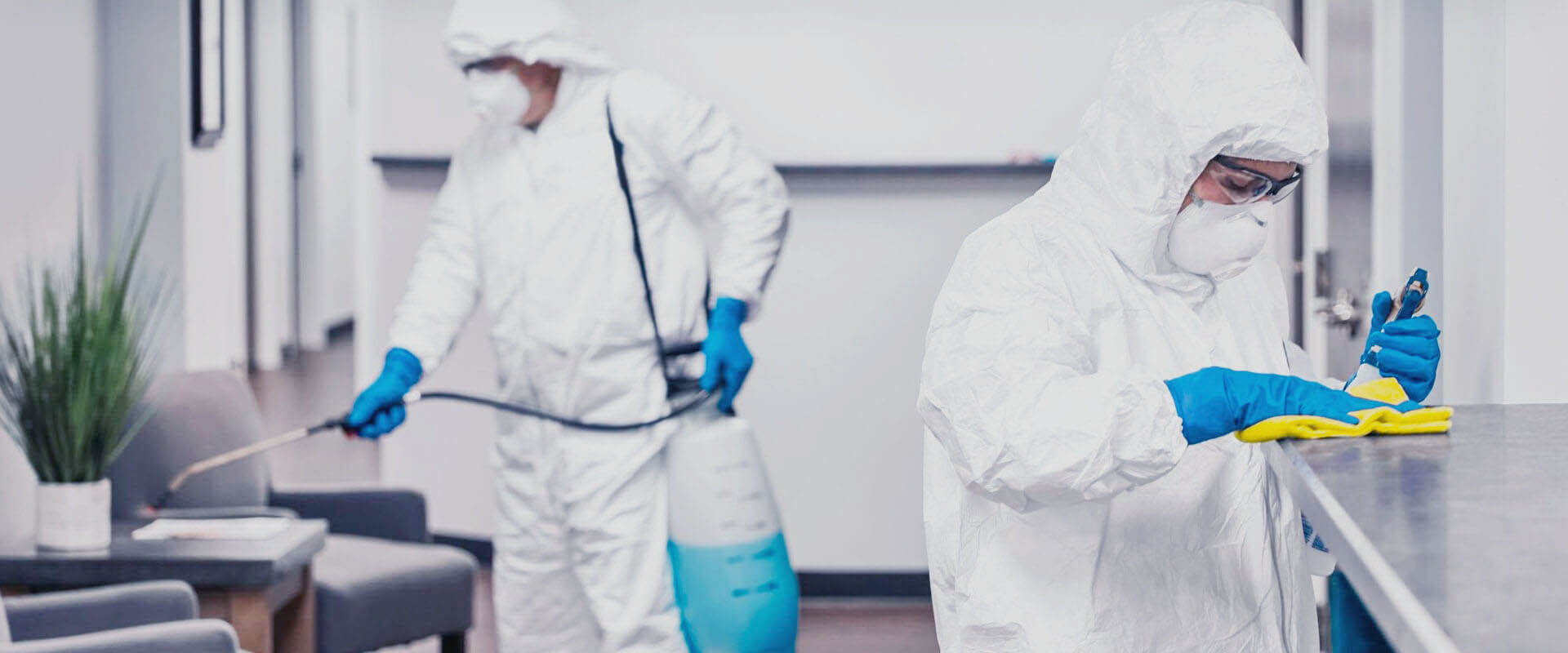 фото: Профессиональная дезинфекция в Вырице: <br/>+7-909-173-42-96