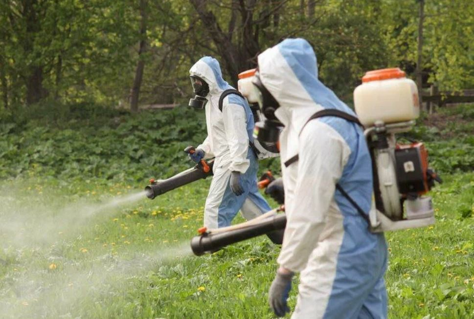 фото: Профессиональное уничтожение мух в Вырице: <br/>+7-909-173-42-96